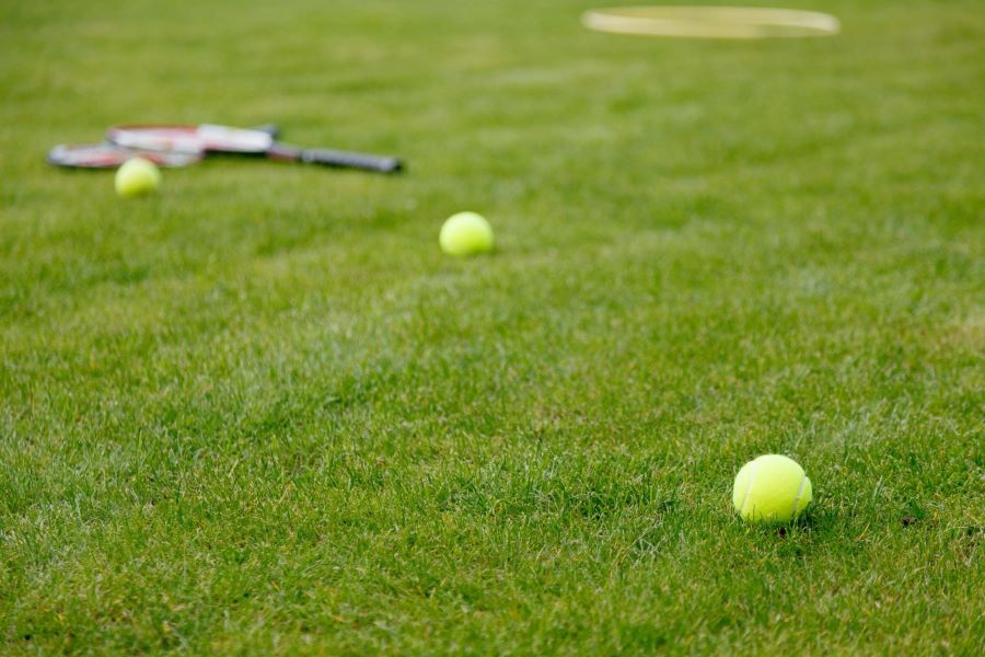 grass tennis